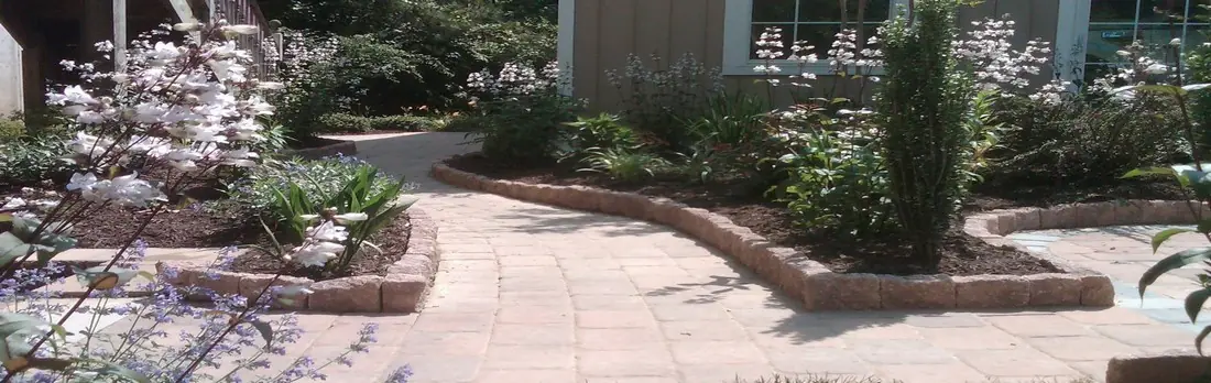 Lush walkway and patio plants.jpg